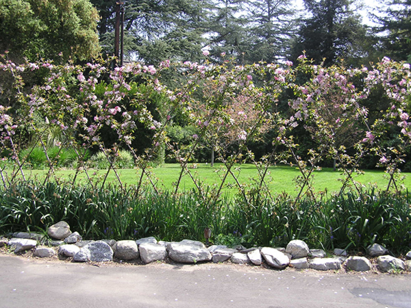 44 Descanso Garden
